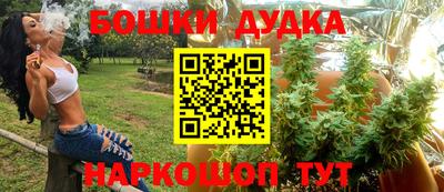 ешки Бийск